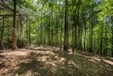 4 acre Donley Road - Photo 4