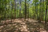 4 acre Donley Road - Photo 9