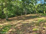 806 Cedarhurst Drive - Photo 3