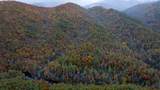 3549P Snowbird Road - Photo 3