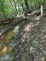 Lot 17 Lakeshore Estates Drive - Photo 12