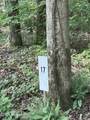 Lot 17 Lakeshore Estates Drive - Photo 4
