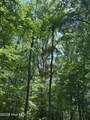 Lot 17 Lakeshore Estates Drive - Photo 6