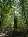 Lot 17 Lakeshore Estates Drive - Photo 7