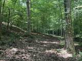 Lot 17 Lakeshore Estates Drive - Photo 8