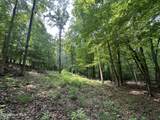 Lot 17 Lakeshore Estates Drive - Photo 9