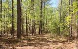 6630 Washington Road - Photo 2