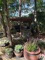 183 Cottonwood Drive - Photo 50