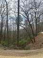 0 Tatham Gap Road - Photo 1