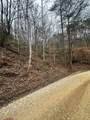 0 Tatham Gap Road - Photo 3