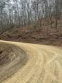 0 Tatham Gap Road - Photo 4