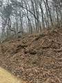 0 Tatham Gap Road - Photo 5