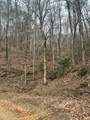 0 Tatham Gap Road - Photo 6