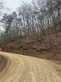 0 Tatham Gap Road - Photo 7