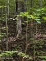 Lot 8 Skyview Drive - Photo 4