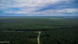 Tbd Catfish Lake Road - Photo 22