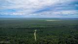 Tbd Catfish Lake Road - Photo 24