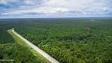 Tbd Catfish Lake Road - Photo 38