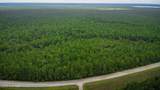 Tbd Catfish Lake Road - Photo 16