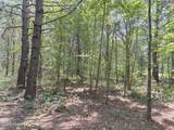 Lot 25 Buckhorn Church Road - Photo 18