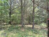 Lot 25 Buckhorn Church Road - Photo 22