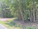 Lot 25 Buckhorn Church Road - Photo 4