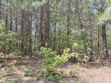 Lot 25 Buckhorn Church Road - Photo 7