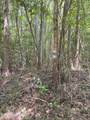 Lot 25 Buckhorn Church Road - Photo 12