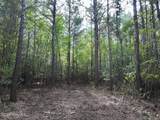 0 Cupelo Road - Photo 11