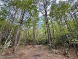 0 Cupelo Road - Photo 12
