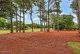 8401 Fazio Drive - Photo 58
