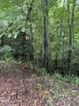 Lot 4 Mountain Vista Lane - Photo 3