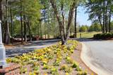 311 Red Fox Run Drive - Photo 163