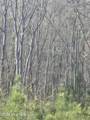 0 Mercier Road - Photo 2