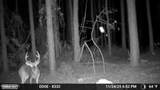 645 Bent Knee Road - Photo 38
