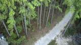 645 Bent Knee Road - Photo 44
