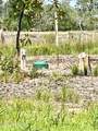 280 Donnie Davis Road - Photo 16