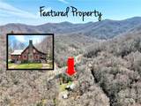 7810 Little Snowbird Road - Photo 1