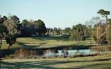 142 Avian Drive - Photo 45