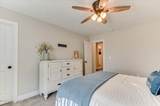 587 Bunchgrass Street - Photo 42