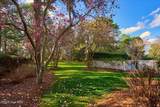 230 Old Dewberry Lane - Photo 54
