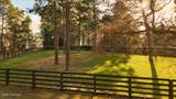 230 Old Dewberry Lane - Photo 68