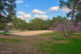 230 Old Dewberry Lane - Photo 73
