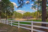 230 Old Dewberry Lane - Photo 74