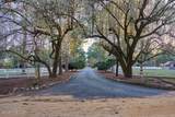 230 Old Dewberry Lane - Photo 8
