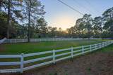 230 Old Dewberry Lane - Photo 81