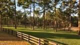 230 Old Dewberry Lane - Photo 86