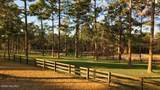 230 Old Dewberry Lane - Photo 87