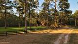 230 Old Dewberry Lane - Photo 91