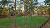 230 Old Dewberry Lane - Photo 94